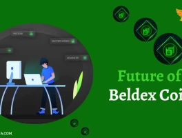 Beldex: What is it?