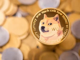 Dogecoin: Its Pivotal Moment and What's Next