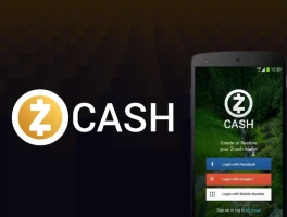 Zcash's Surge: Nearing 8-Year High, But Why?