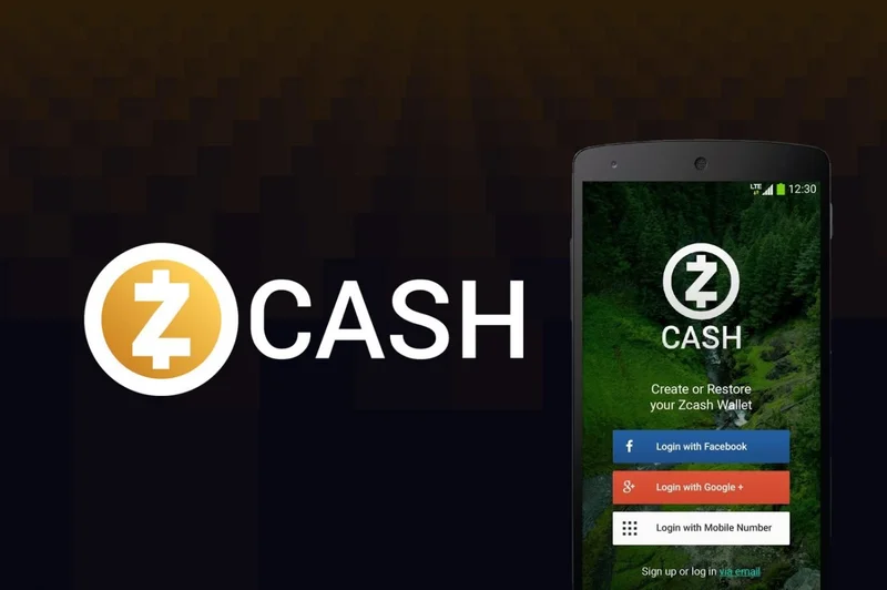 Zcash's Surge: Nearing 8-Year High, But Why?